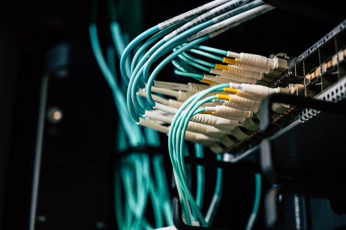 Close-up of ethernet cables connected to a network switch